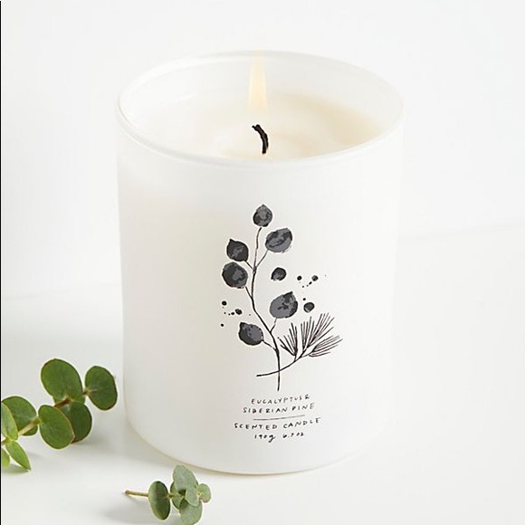Free People Other - Free People Eucalyptus + Siberian Pine Candle